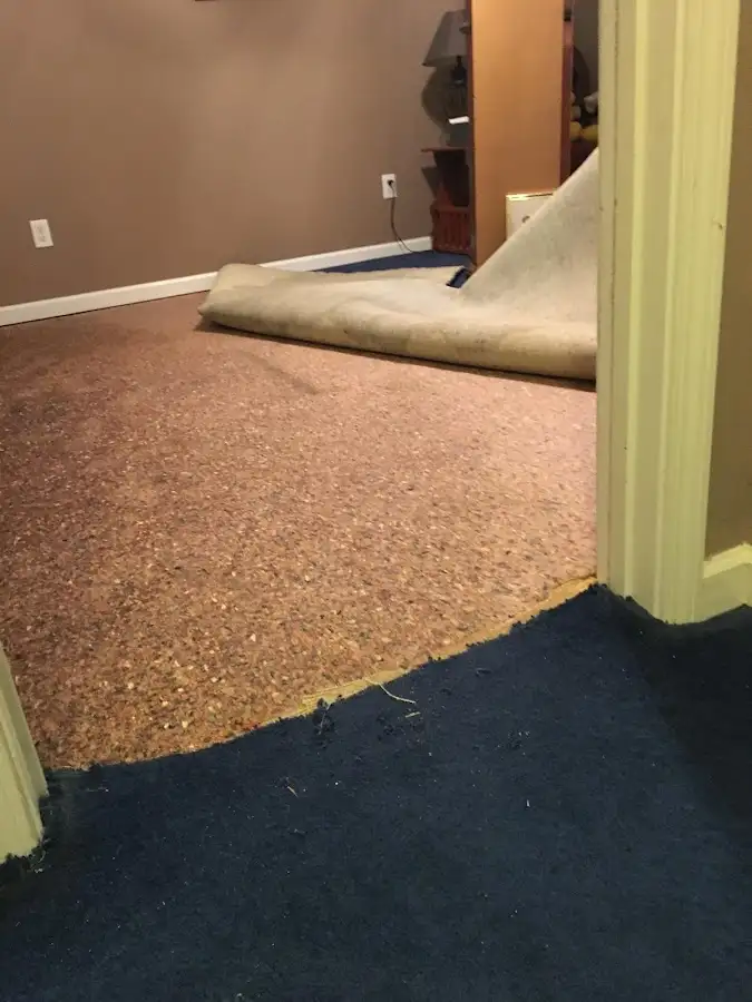 Carpet pad removal revealing water damage during Drying & Dehumidification in Iron Mountain