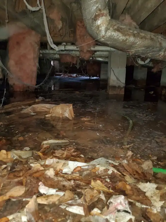 Crawl space flood assessment for Leak Detection & Repair in Iron Mountain
