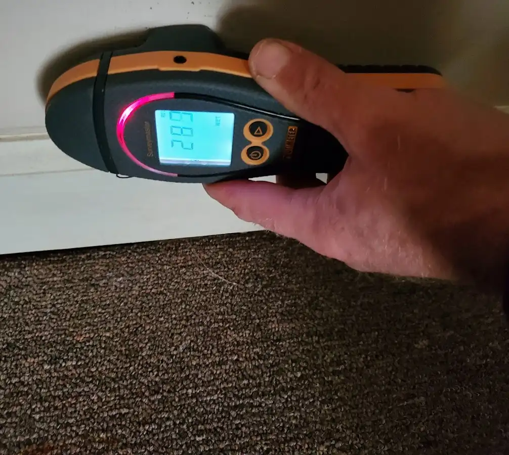 Moisture detection at baseboard during Sewage Cleanup & Sanitation in Iron Mountain